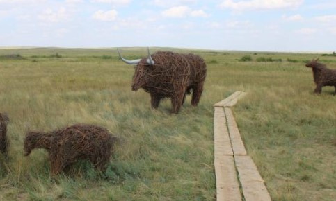 Новые маршруты Аркаима